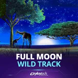 Bocoran RTP Slot Playtech Full Moon Wild Track